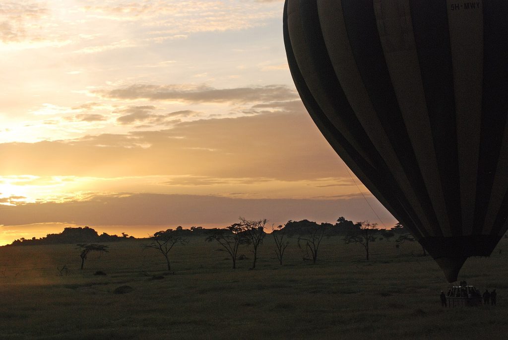 Real travel image for Serengeti Safari Cost 2026