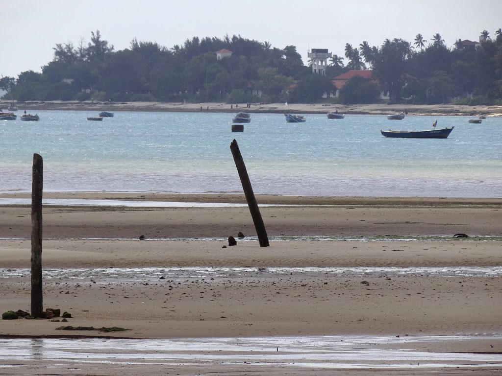 Real travel image for Tanzania Safari and Zanzibar Family Trip