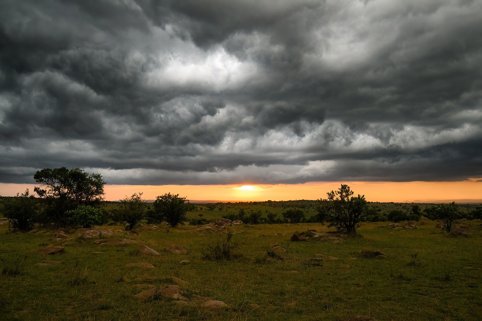 Real travel image for Tanzania Safari for UK School Holidays