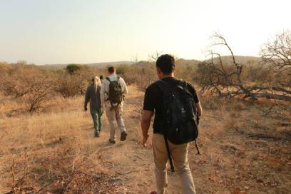 Walking Safari Tanzania Tanzania safari guide image 2