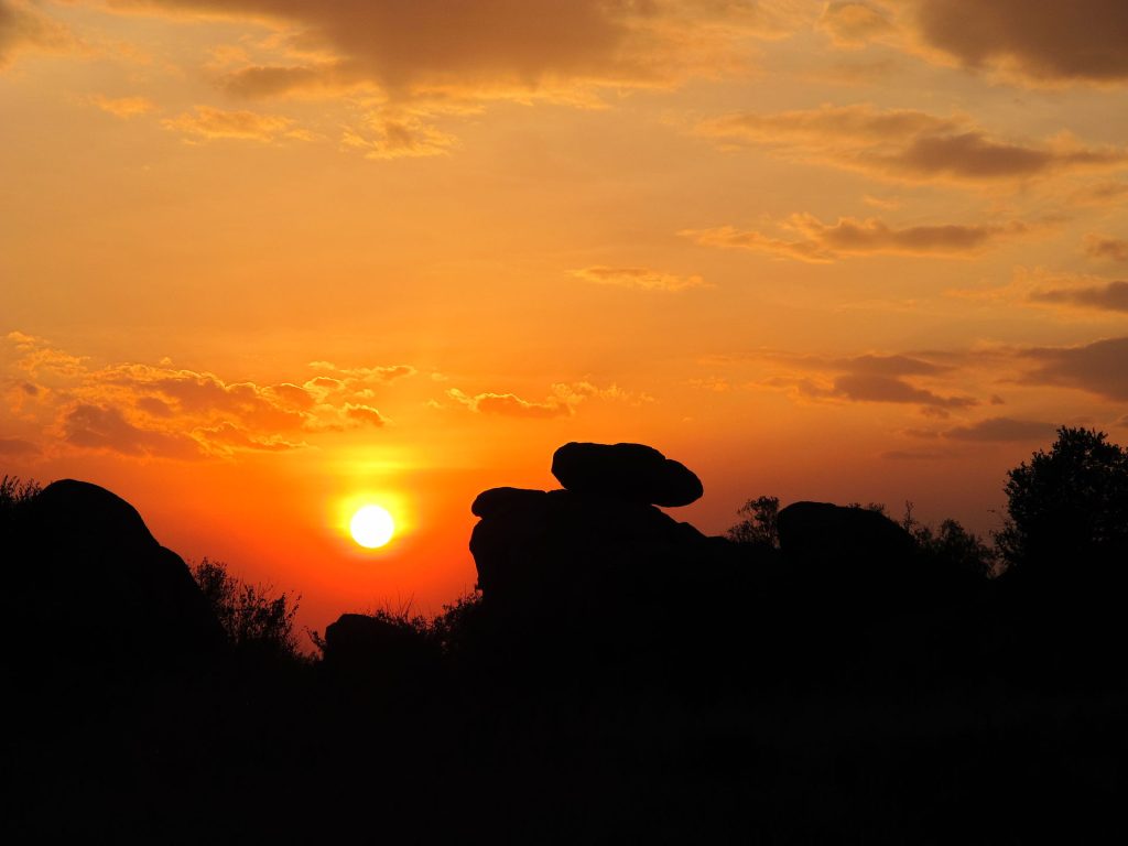 Real travel image for Western Serengeti Migration Safari