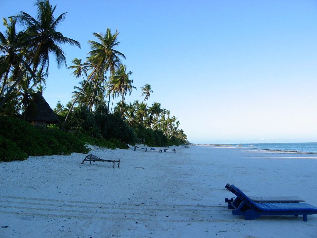 Real travel image for What to Pack for a Safari Starting From Zanzibar