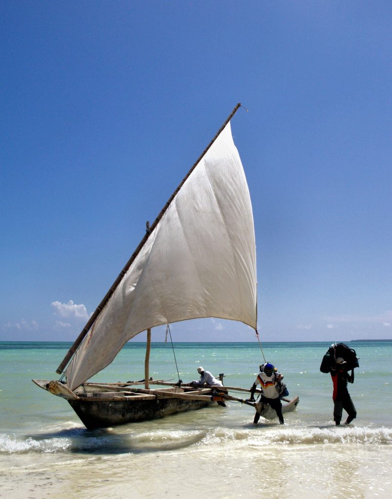 Real travel image for Zanzibar Beach and Safari Itinerary Which Comes First?