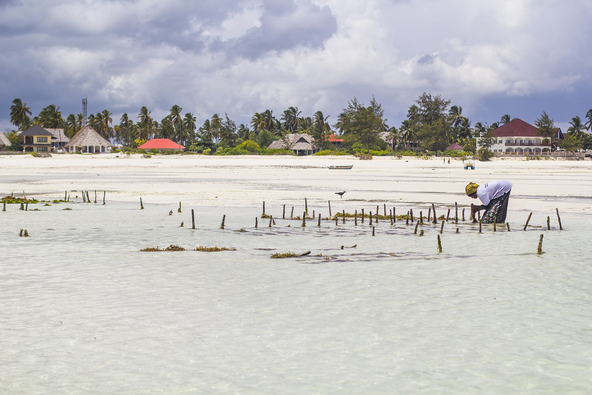3 Days Zanzibar Beach Escape