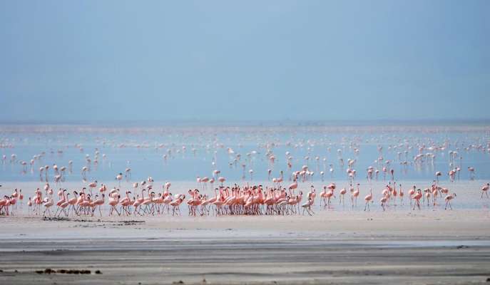 Lake Manyara National Park safari guide image from Tanview Safaris planning source