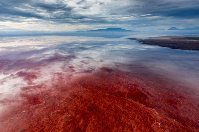 Lake Natron safari guide image from Tanview Safaris planning source