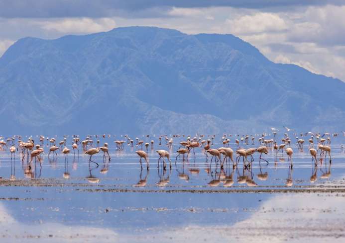 Lake Natron safari guide image from Tanview Safaris planning source