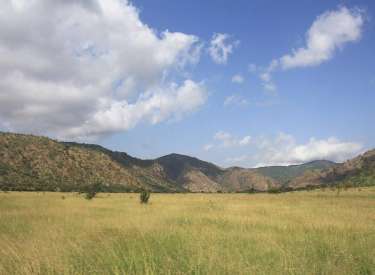 Mkomazi National Park safari guide image from Tanview Safaris planning source