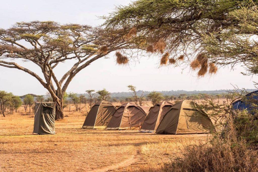 Ngorongoro Crater Cost safari guide image from Tanview Safaris planning source