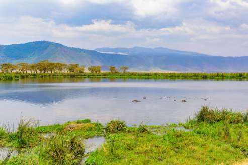 Ngorongoro Crater Family Safari safari guide image from Tanview Safaris planning source