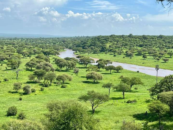 Tarangire Best Time to Visit safari guide image from Tanview Safaris planning source