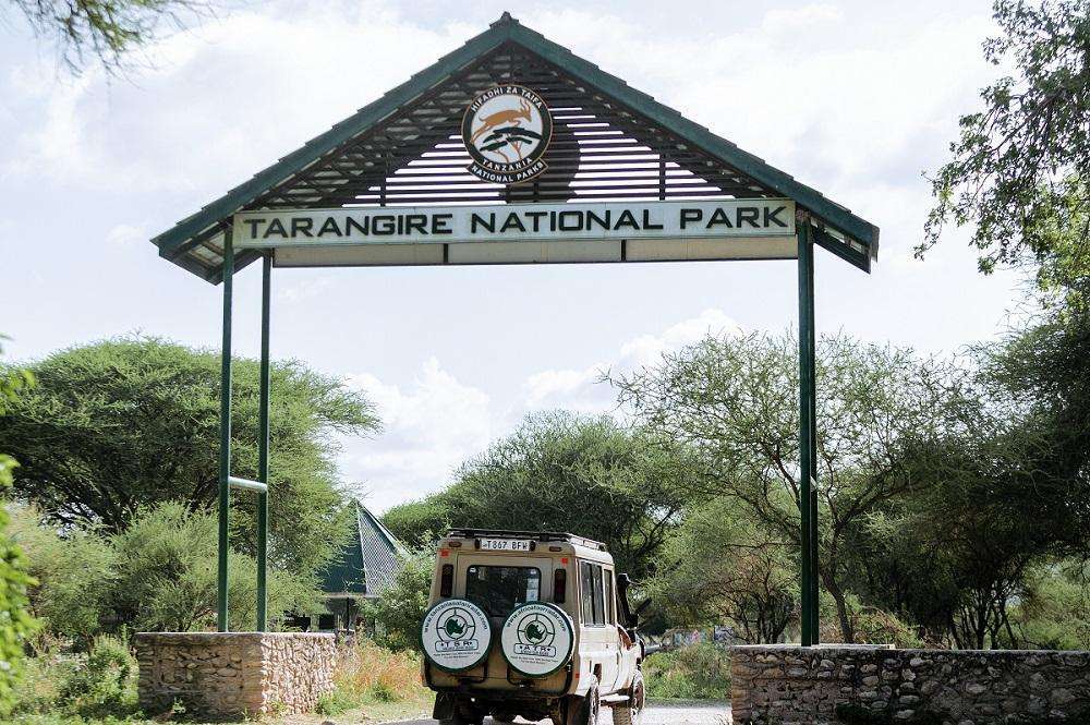 Tarangire Park Fees safari guide image from Tanview Safaris planning source