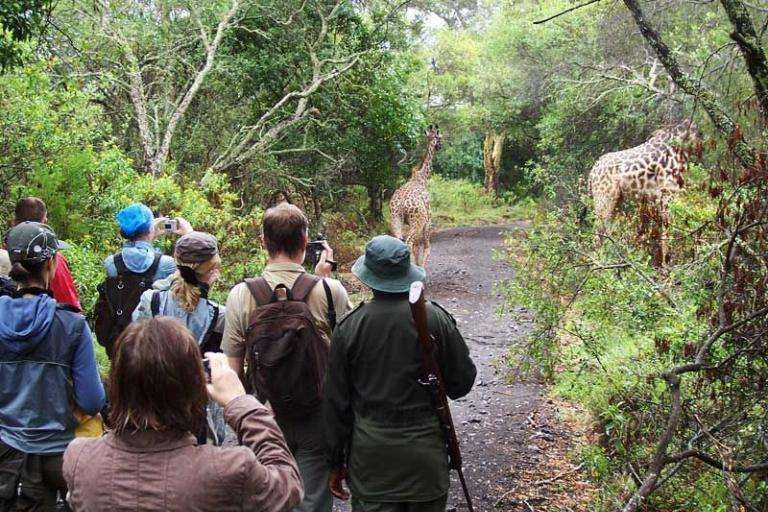 Walking Safaris in Tanzania safari guide image from Tanview Safaris planning source