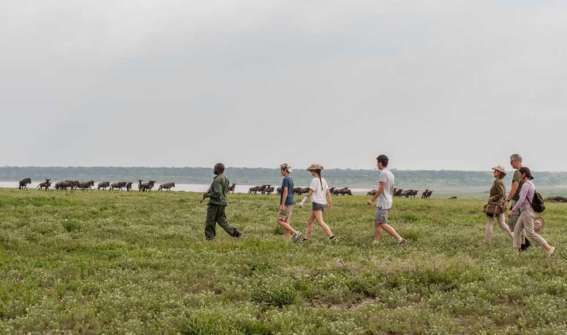 Walking Safaris in Tanzania safari guide image from Tanview Safaris planning source